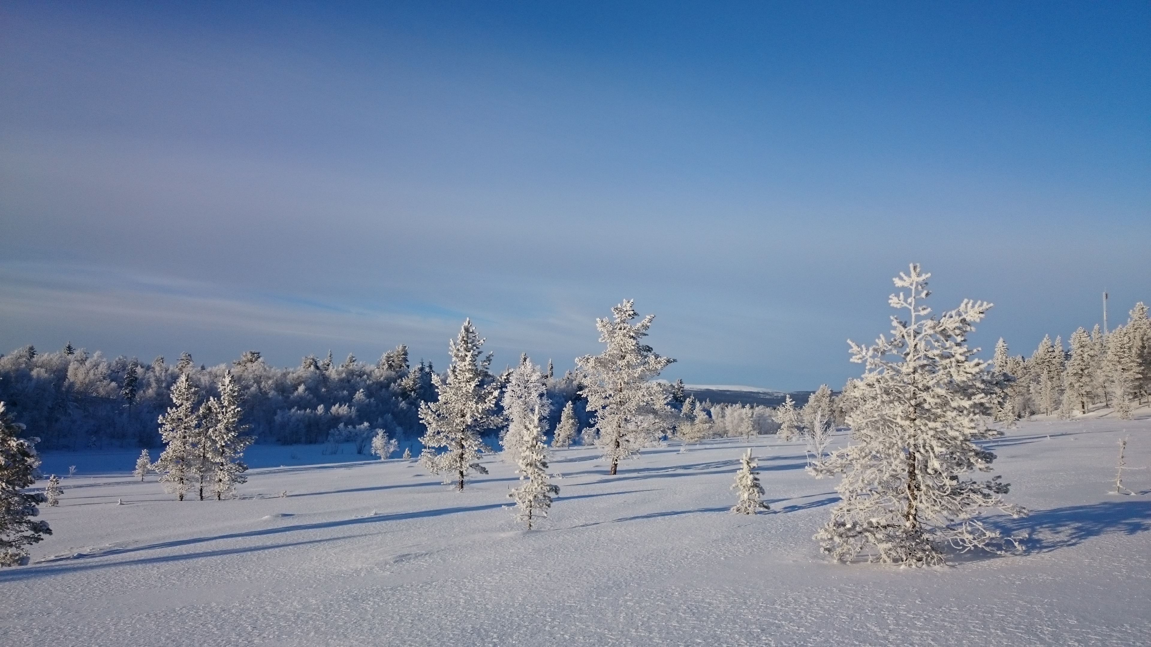 Tylldalskjølen