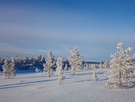 Stolt av å være norsk?