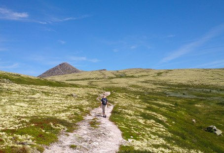 Smarte innretninger og smarte veivalg
