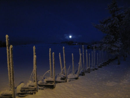 Jeg har tatt min beslutning, så kom ikke her med kjensgjerninger