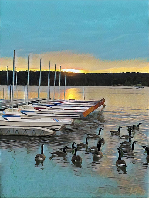 Sunfish_Docks.jpg
