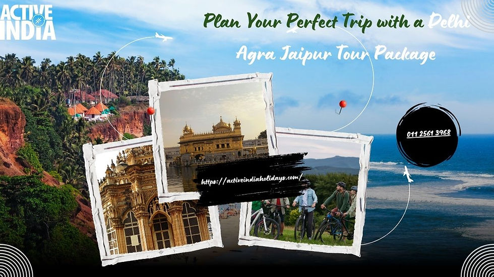 delhi agra jaipur tour package