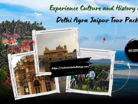 delhi agra jaipur tour package