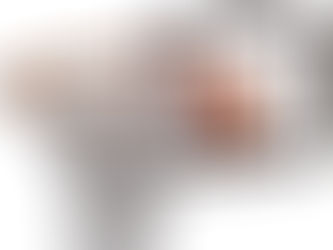 Midori Elementary School Gym