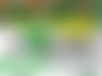 2024 夏合宿 in 新潟のお知らせ