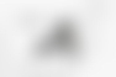 Robin & Company Expansion to Upstate New York: Serving Orlando & Beyond