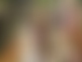 Sobre el "Cancionero de Palacio"