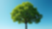 Unveiling the Trusted Choice: Experiencing KT Trees Through Client Testimonials