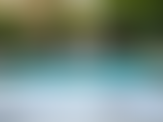 Understanding the Pool Installation Steps: Your Guide to a Dream Backyard