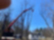 Large Branch removal with crane