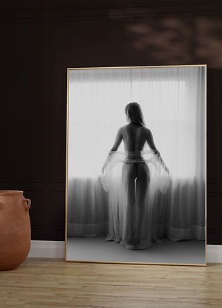 Boudoir art.jpg