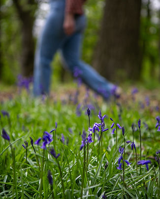 Roots+Tales_Storytelling Photographer_Hull_Yorkshire_Holly Shepherd.jpg