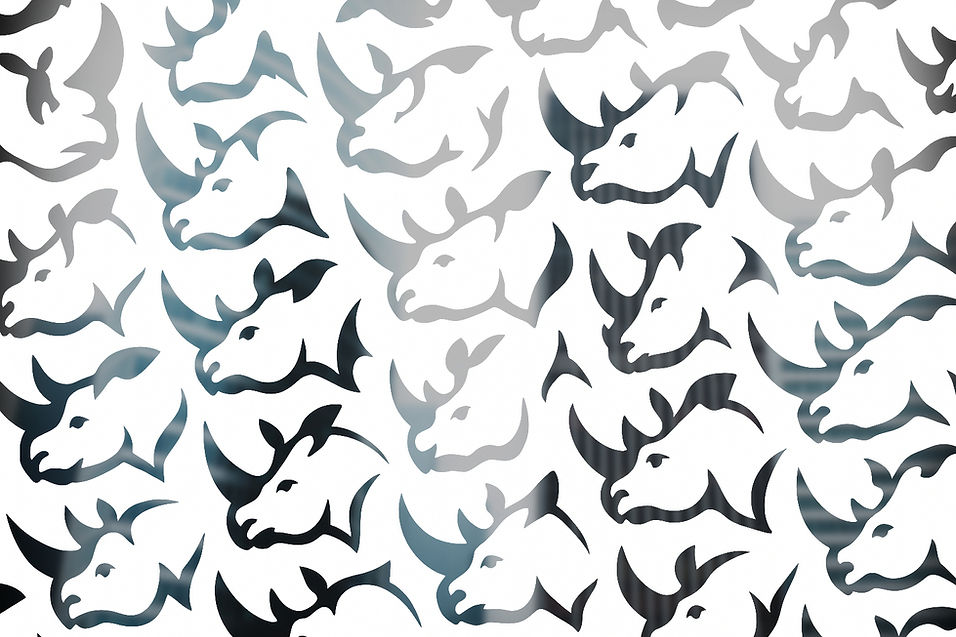 RHINO HEAD_edited.jpg