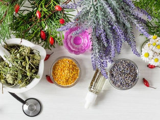 Benefits of Botanical Medicine