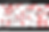 F2 generation results for a heredity virtual lab