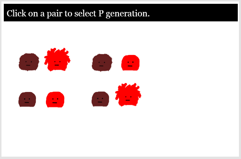 P generation selection for a heredity simulation