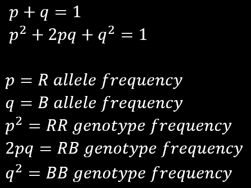 How To Use Chi Squared To Test For Hardy Weinberg Equilibrium