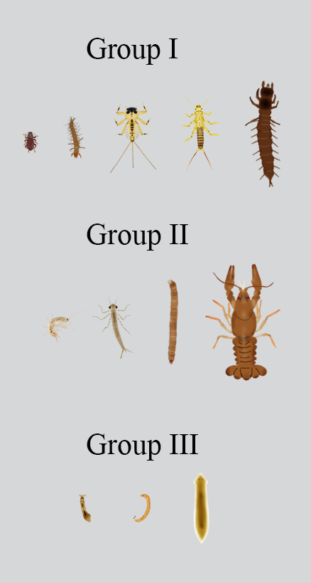 macroinvertebrate chart for water quality simulation