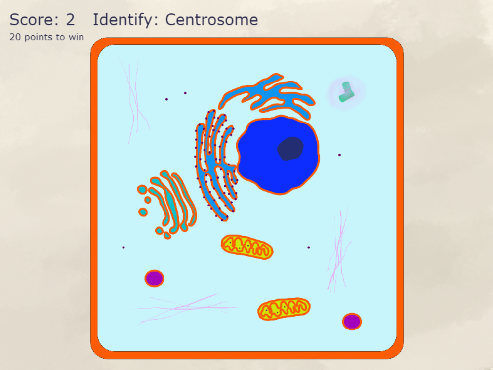 animal cell diagram in cell structure game