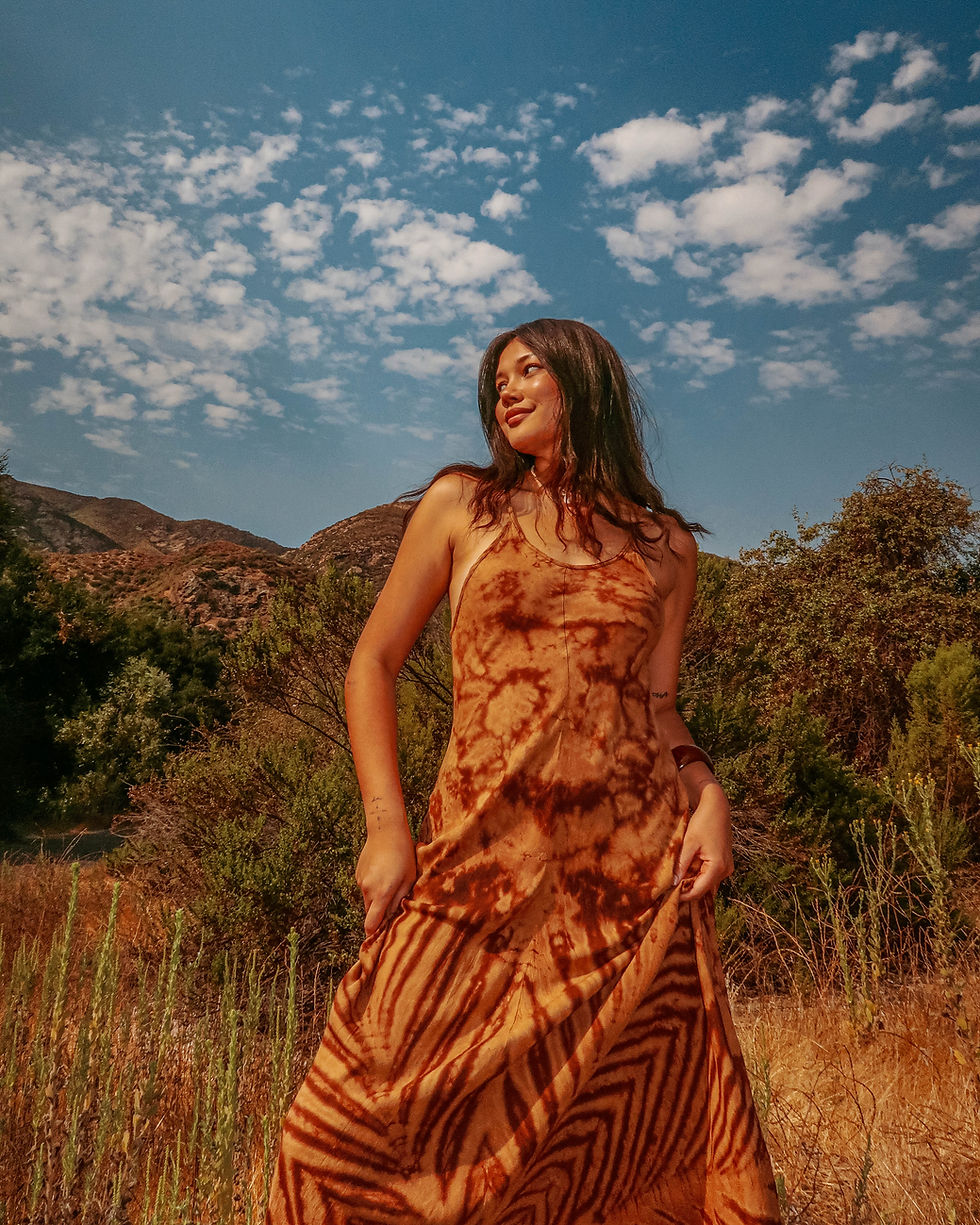 Thumbnail: The Wyoming Dress