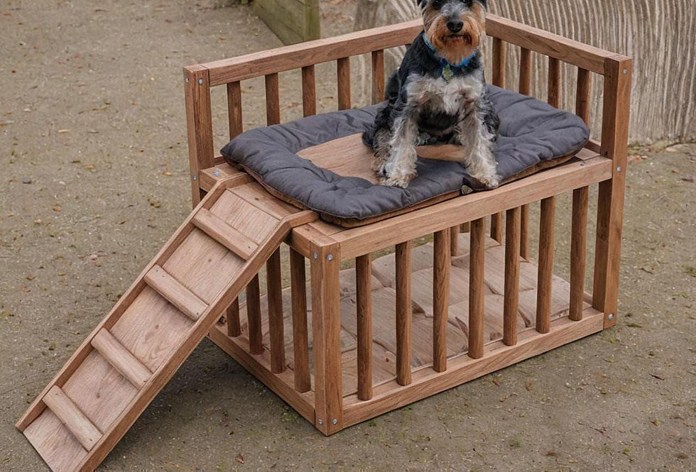 Miniaturbild: Erhöhte Hundebett-Platform, Haustiermöbel aus Holz, Haustierbett, Modernes Hu...