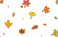 95c688_25c1e79677834ac193d5b6d5ebdb1ab7_