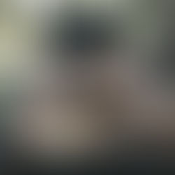 おじいさんは山へ柴刈りへ🌳