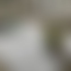 かにさんくらぶ１１月号📖