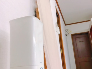 冬は乾燥するので🍃