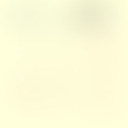 ２０２４年３月営業案内🎎