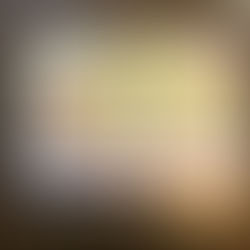 酒蔵まつり🍶はいかがですか？