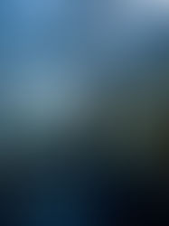 キネシスって何さ