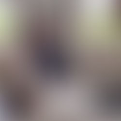 ブログリフレッシュ🖥