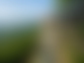変形性膝関節症で悩んでいました