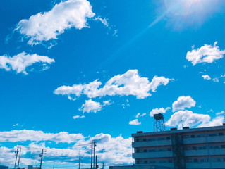台風一過🌪