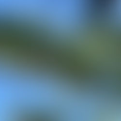 ２０２１年５月営業案内🎏