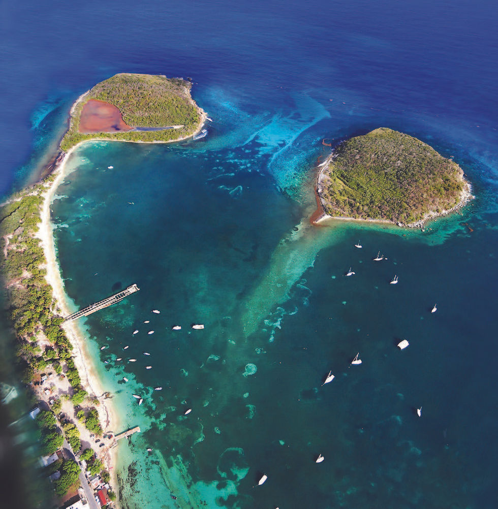 The Cayo De Tierra Birding Trail 