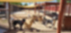 thumbnail (17)
