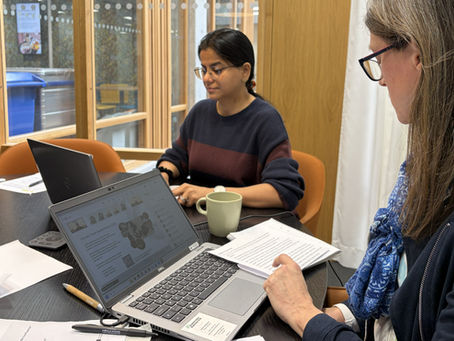 Alternativa lösningar till plastförpackningar behöver ingå i ett cirkulärt system