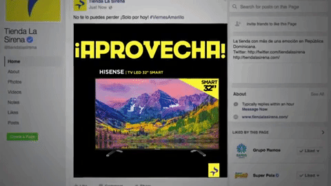 giphy-4.gif