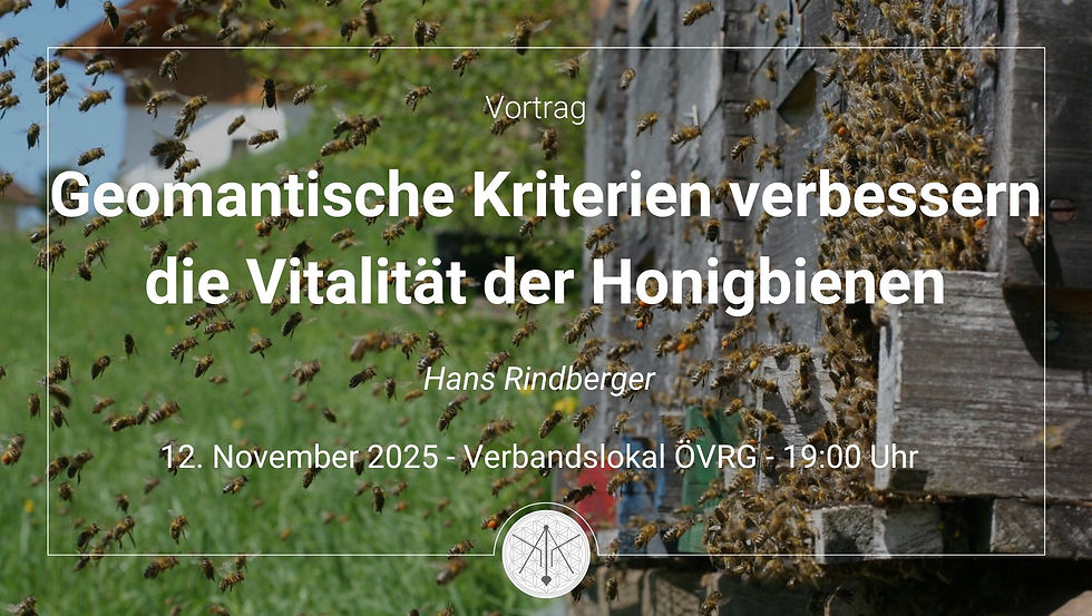 Geomantische Kriterien verbessern die Vitalität der Honigbienen. Der gute Bienenaufstellplatz
