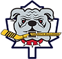 Toronto Bulldogs logo - grey, red, yellow and blue hockey logo