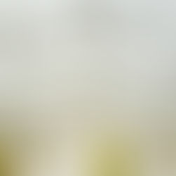 Ep 16 - La Minute Tech' - Les Toitures "Parapluie", l’Allié Anti-Intempéries