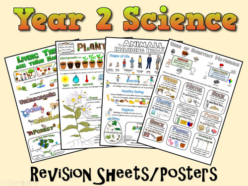 Year 2 Science Posters/Revision Sheets | Mysite