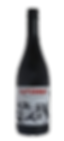 Saveroni Merlot & Corvina 2024 | Finchley Wine
