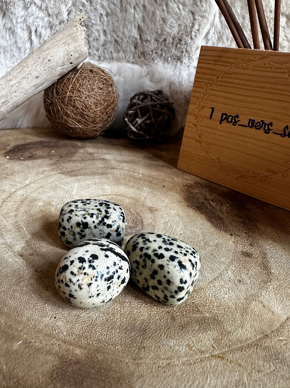 Miniature : Pierre roulée jaspe dalmatien 