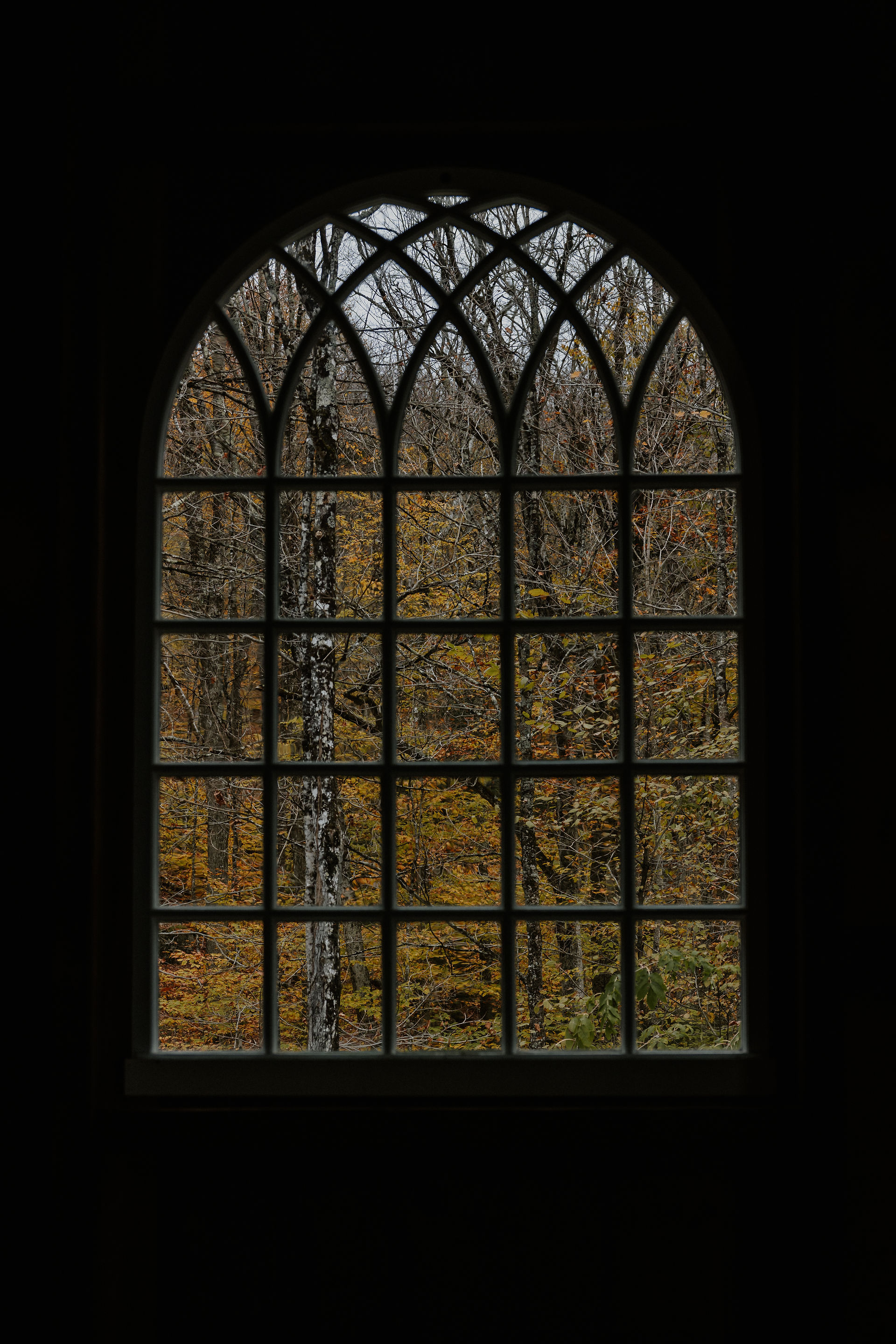 arched window in the foreground with fall foliage outside