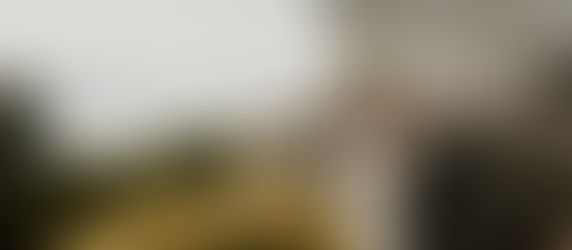 Elissa & Dylan | Intimate Shelburne Farms Elopement