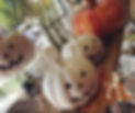 Pumpkins.jpg