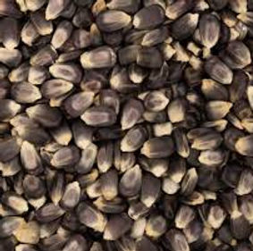 Organic Blue Cornmeal